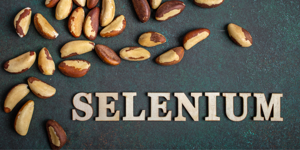 foods that contains selenium